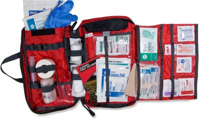 Image of  the contents of a First Aid Kit