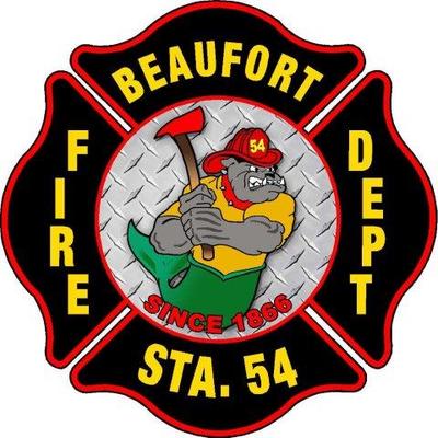 BFD logo